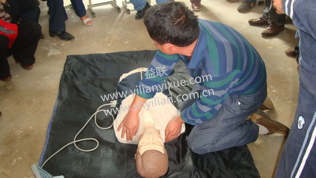 半身心肺復蘇模擬人