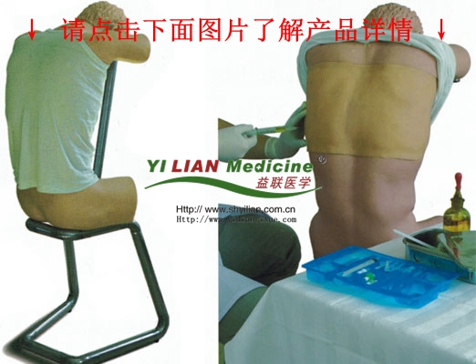 背部穿刺訓練模型